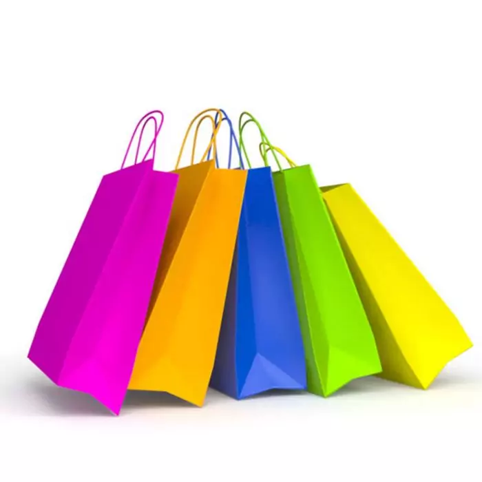 Buy Shopping Paper Bags Online in India at DCGpac