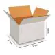 White, 05ply, Universal, Corrugated, Multipurpose, Boxes, 19in x 13in x 15in, Pack of 15