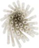 Compostable, White, Corn Starch, Straws, 200mm x 08mm, Pack of 50